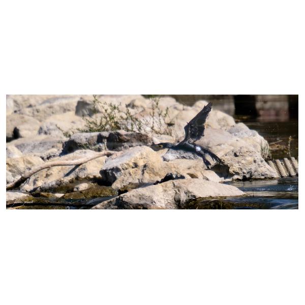 PHOTO84, CLUB, 84 , LUBERON